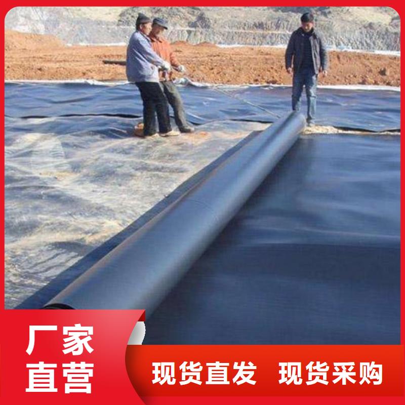 土工膜凸结点钢塑土工格栅注重细节