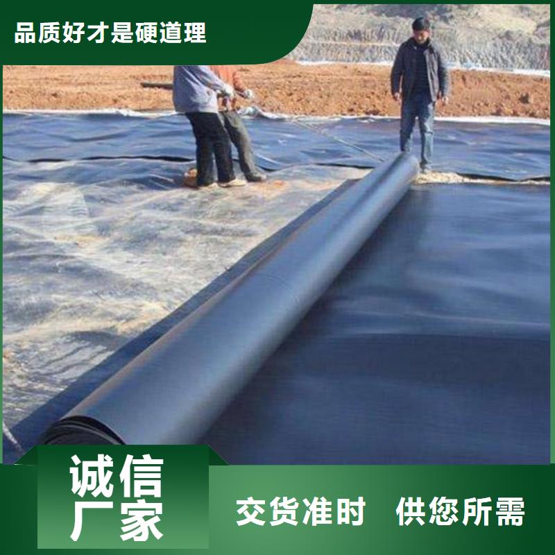 2025柱点糙面土工膜生产厂家/支持定制