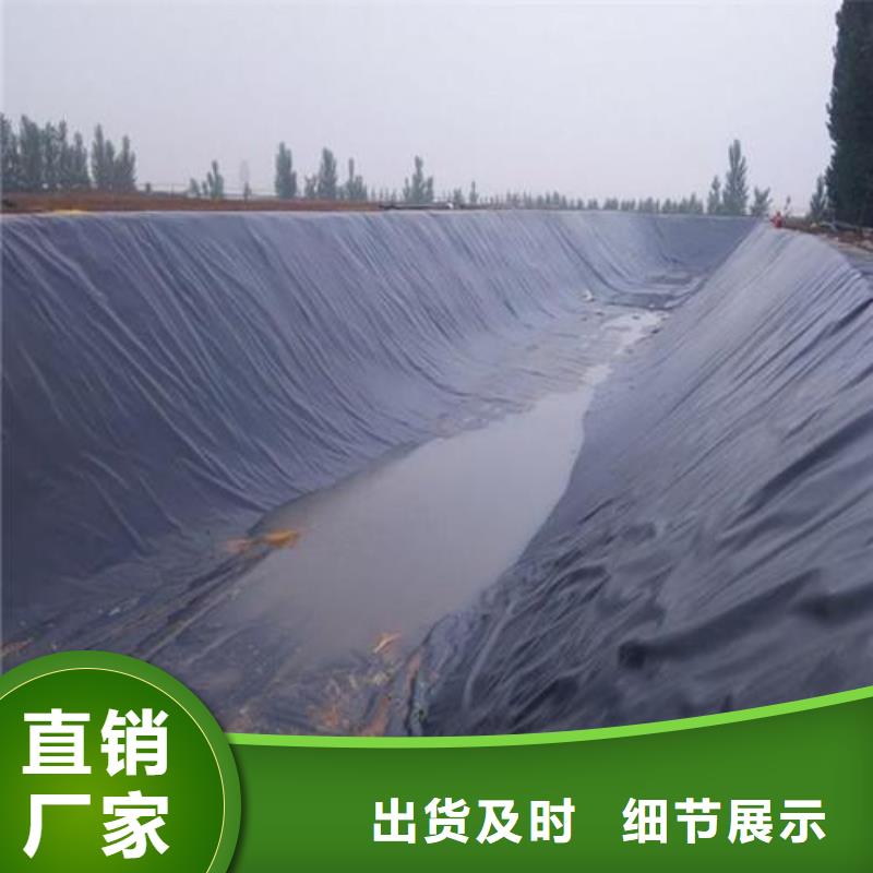 土工膜凸结点钢塑土工格栅注重细节