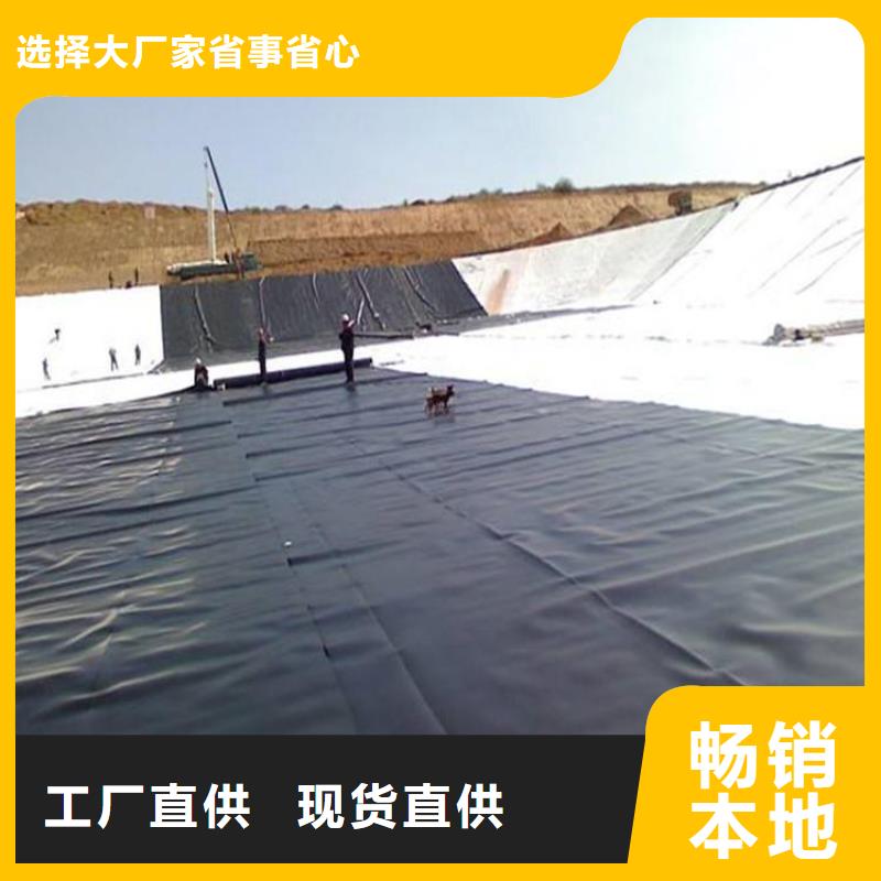 土工膜单向塑料土工格栅批发供应