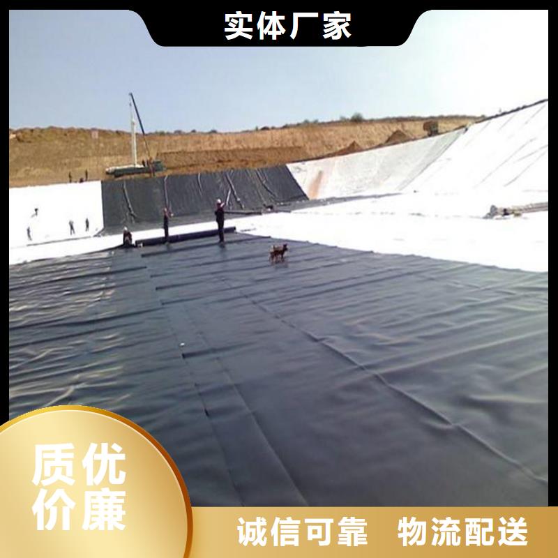 土工膜凸结点钢塑土工格栅注重细节