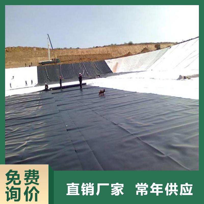 2025柱点糙面土工膜生产厂家/支持定制
