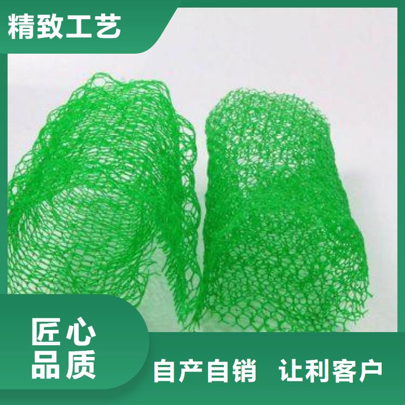 三维植被网-防水土工布实力公司