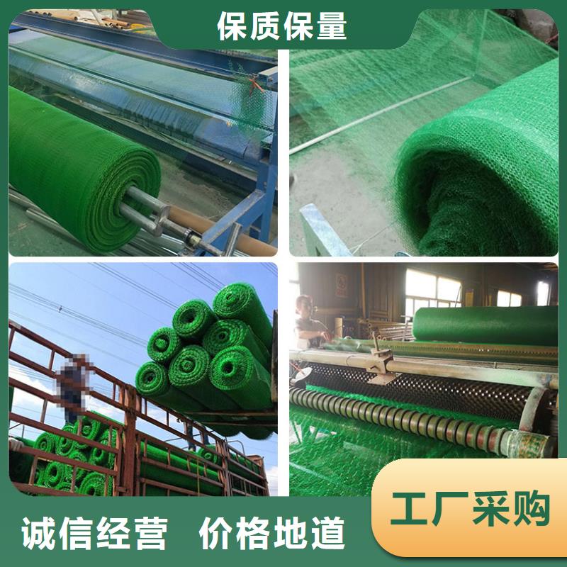 三维植被网-防水土工布实力公司