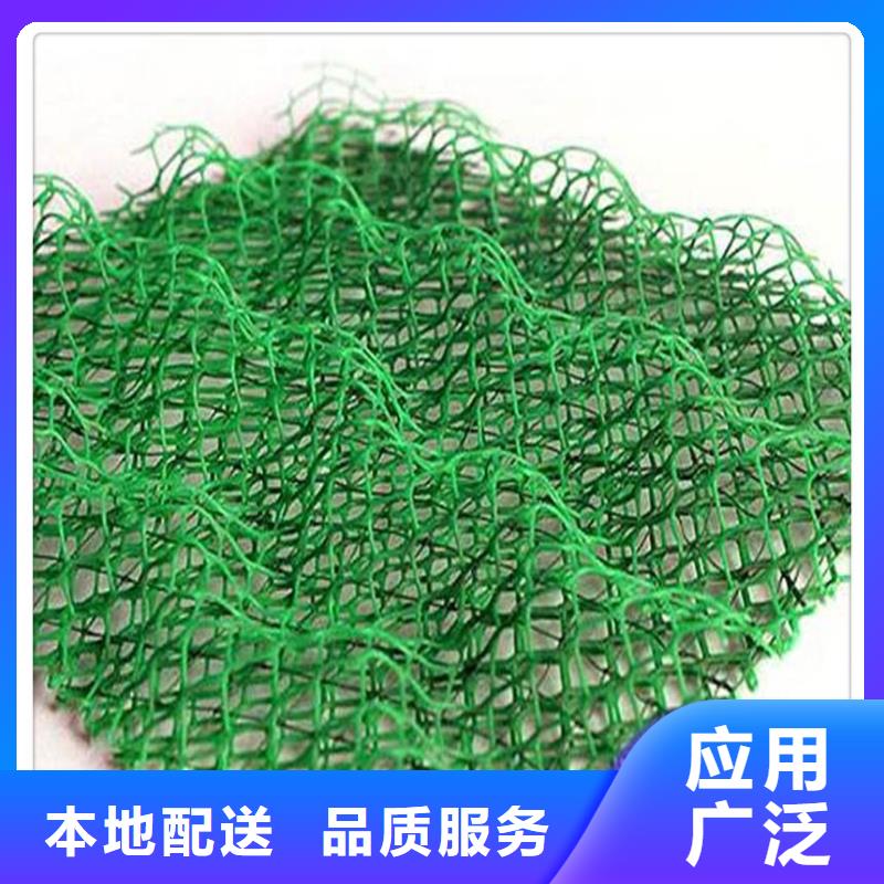 三维植被网-防水土工布实力公司