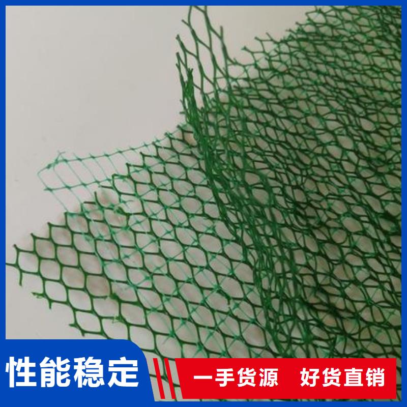 三维植被网塑料排水板工厂采购