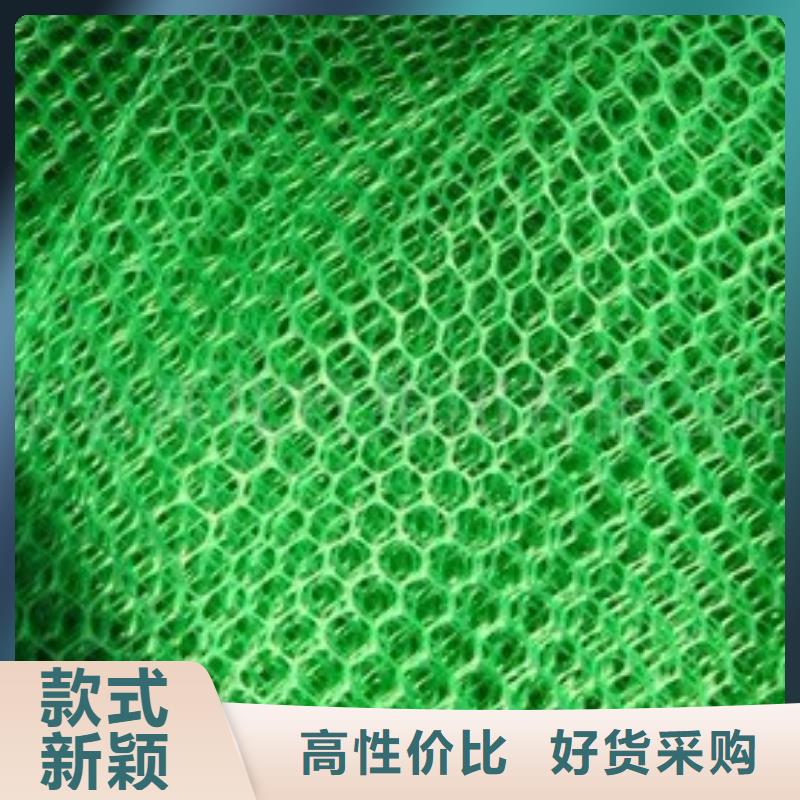 三维植被网塑料排水板工厂采购