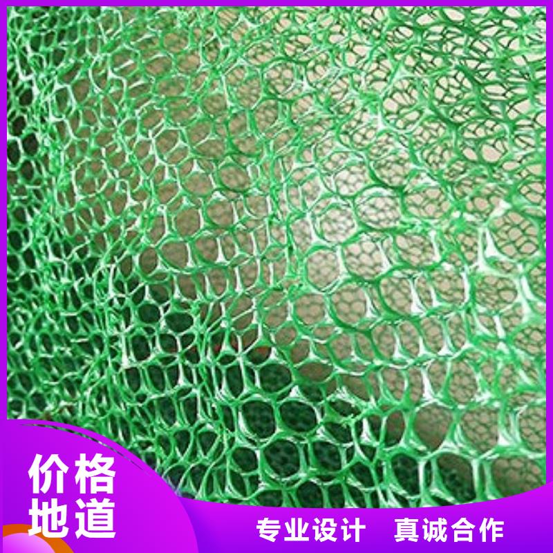 三维植被网塑料排水板工厂采购