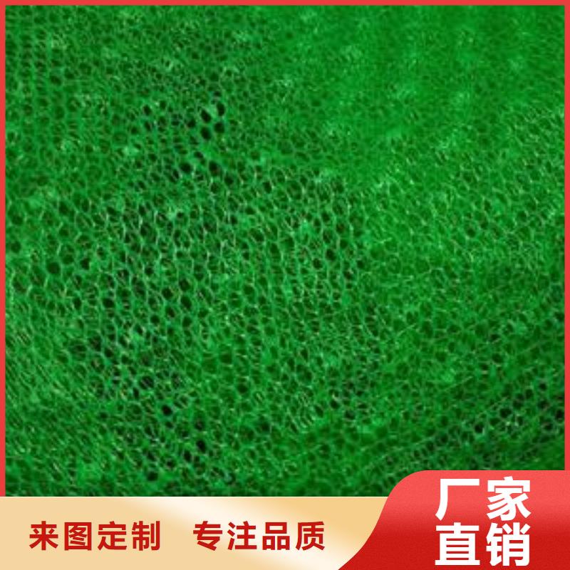 三维植被网塑料排水板工厂采购