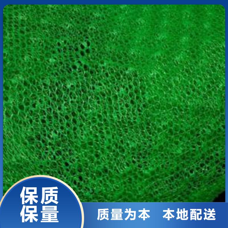 三维植被网塑料排水板工厂采购
