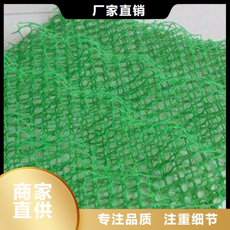 三维植被网塑料排水板工厂采购