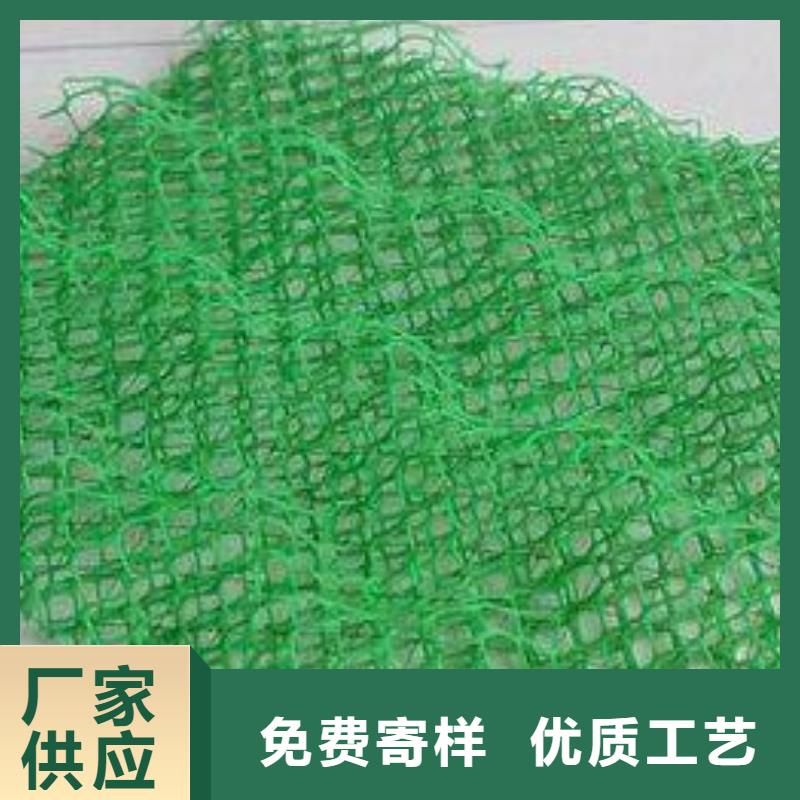 三维植被网-防水土工布实力公司