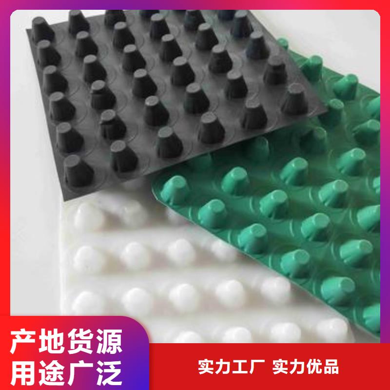 塑料排水板土工HDPE膜现货快速采购