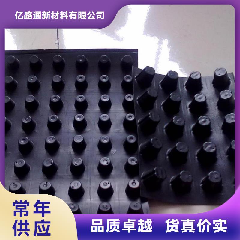 塑料排水板钢塑土工格栅专业厂家