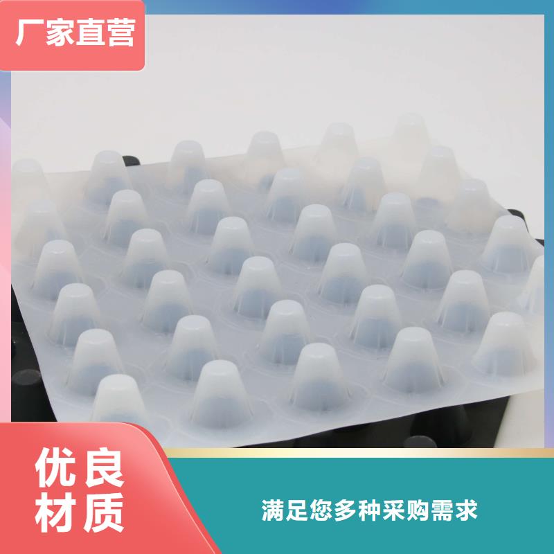 塑料排水板,土工格栅价格实惠