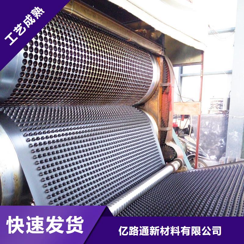 塑料排水板土工HDPE膜现货快速采购