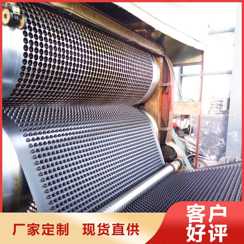 塑料排水板土工HDPE膜现货快速采购