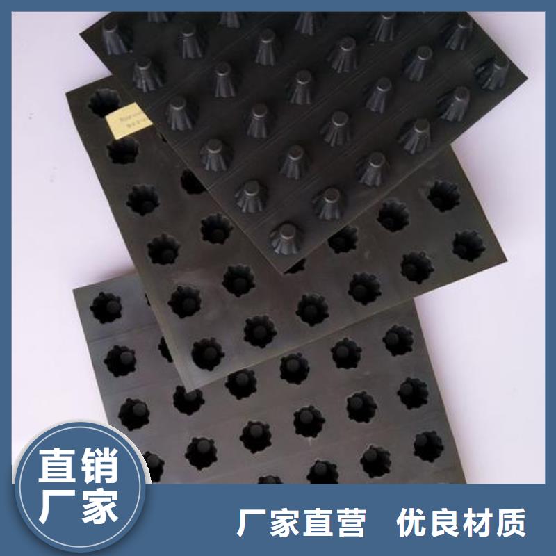 塑料排水板钢塑土工格栅专业厂家