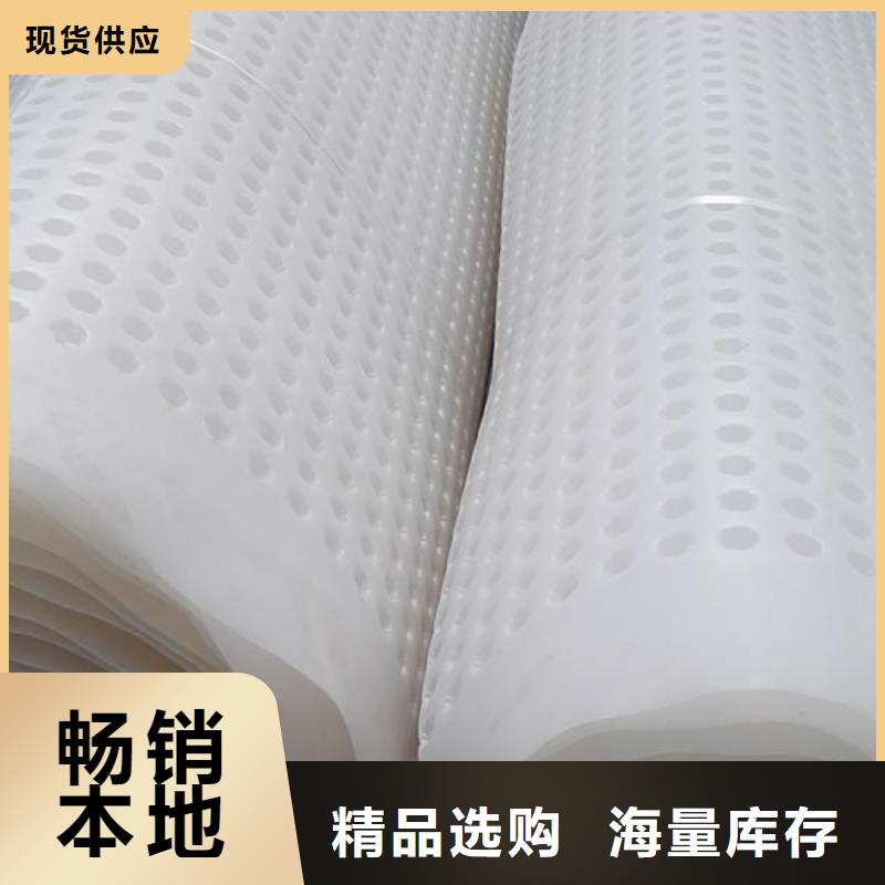 塑料排水板,土工格栅价格实惠