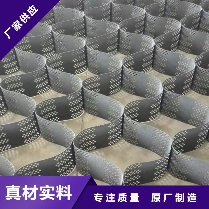土工格室三维土工网垫敢与同行比服务