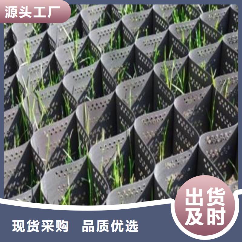 土工格室三维土工网垫敢与同行比服务