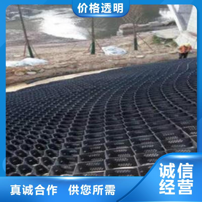 土工格室三维土工网垫敢与同行比服务