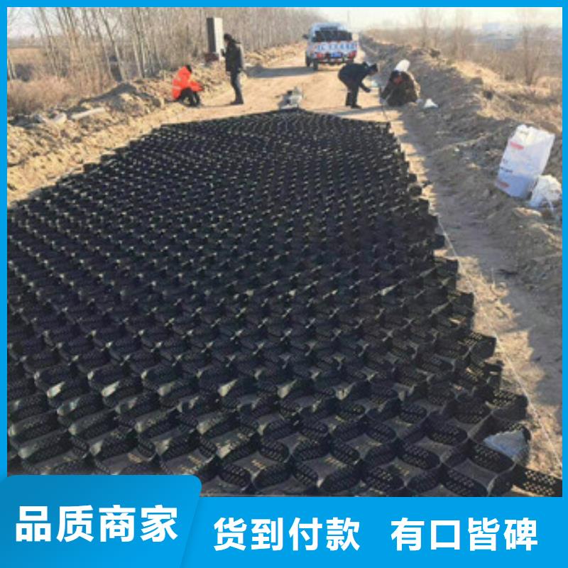 土工格室_复合土工膜诚信经营质量保证
