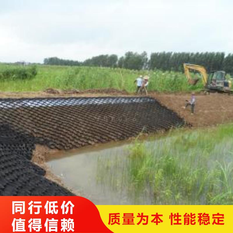 土工格室hdpe士工膜好货采购