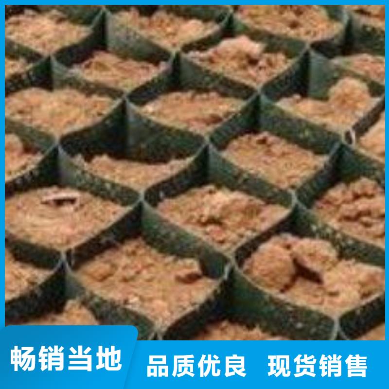 土工格室_复合土工膜诚信经营质量保证
