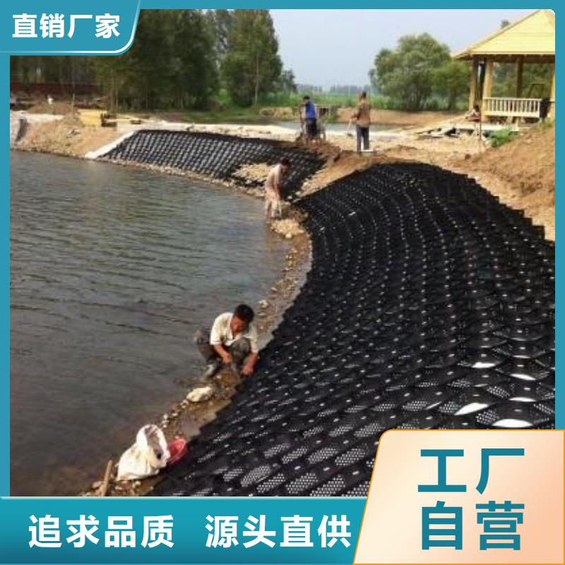 土工格室_复合土工膜诚信经营质量保证