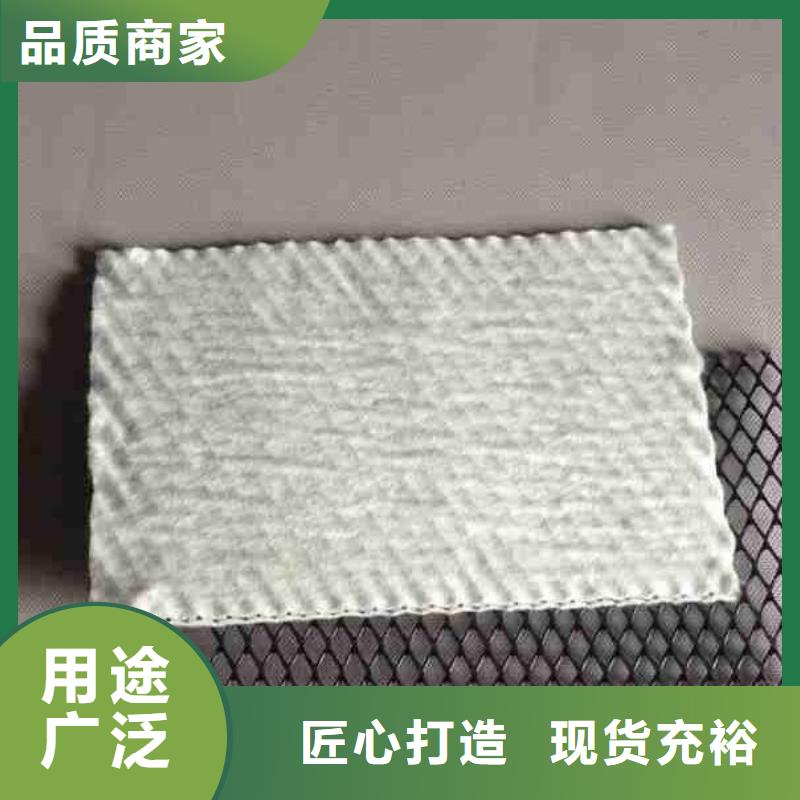 隧道内壁用排水网厂家直供