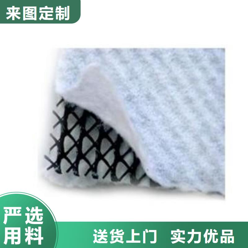 隧道内壁用排水网厂家直供