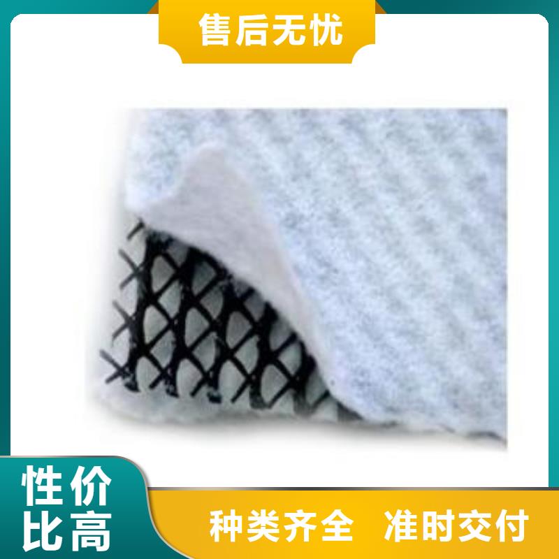 三维复合排水网-塑料土工格栅制造厂家