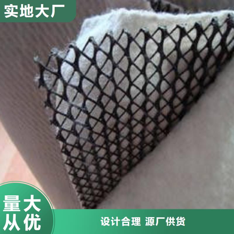 隧道内壁用排水网厂家直供
