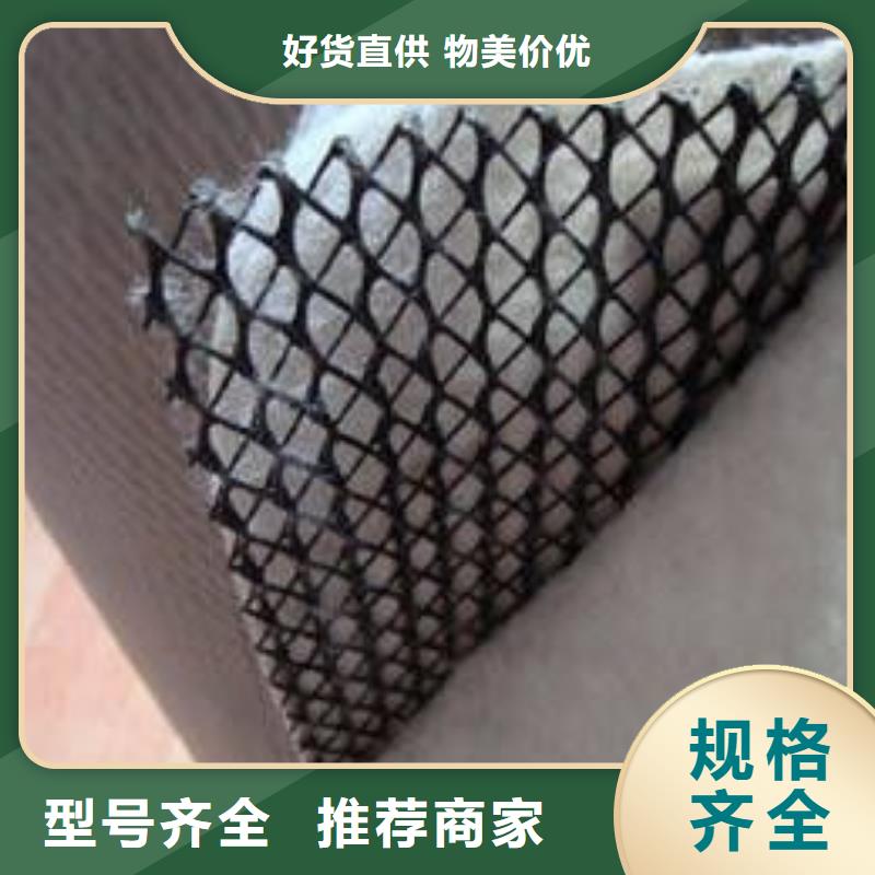 三维复合排水网_透水土工布N年大品牌