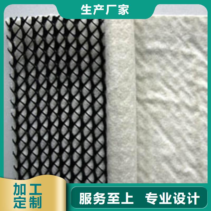 隧道内壁用排水网厂家直供