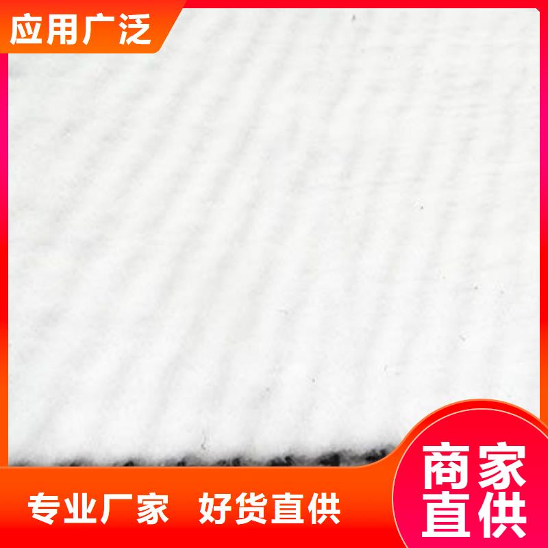 隧道内壁用排水网厂家直供