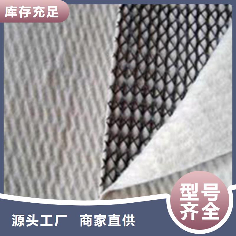 隧道内壁用排水网厂家直供
