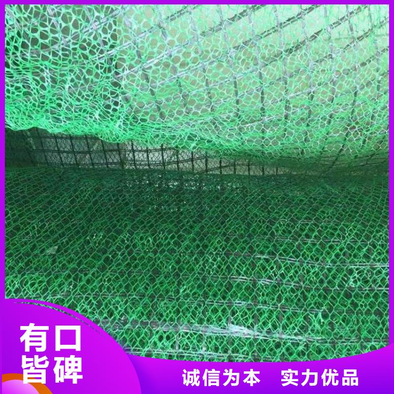 三维植被网护坡土工网技术先进