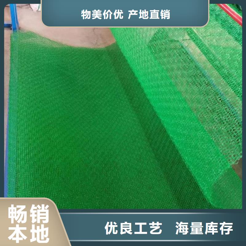 三维植被网防尘布实力大厂家