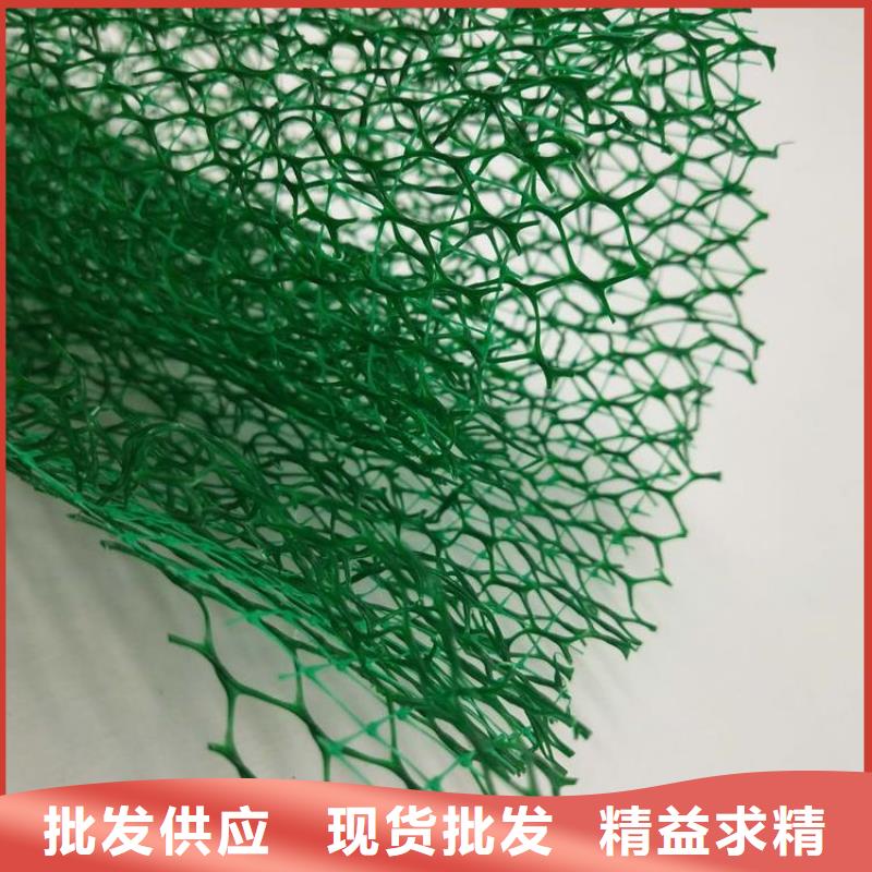 三维植被网防尘布实力大厂家