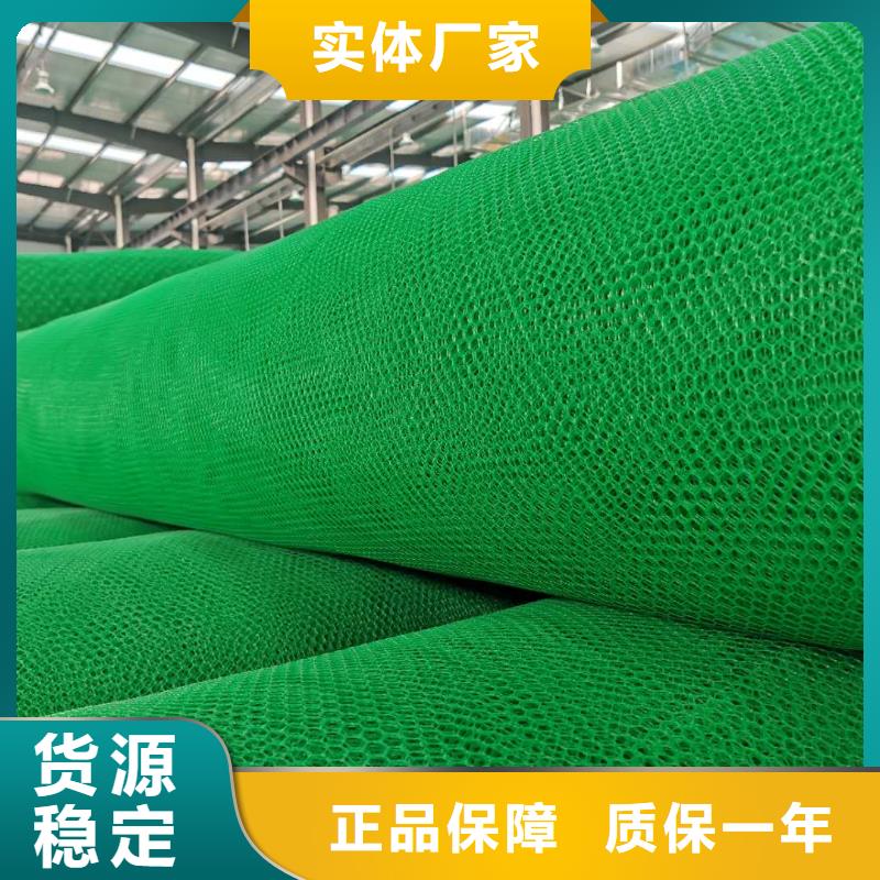 三维植被网防尘布实力大厂家
