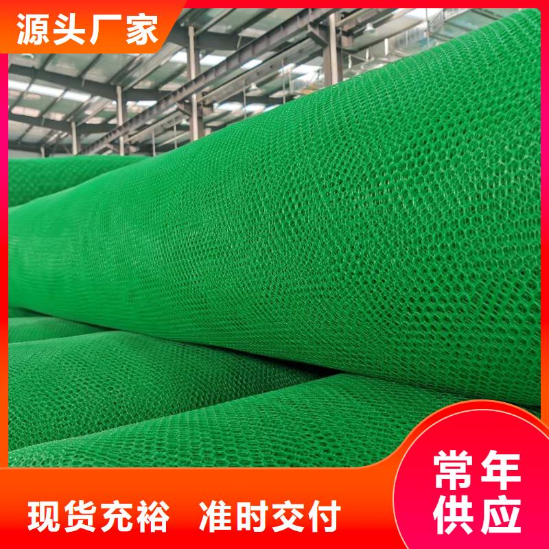三维植被网护坡土工网技术先进