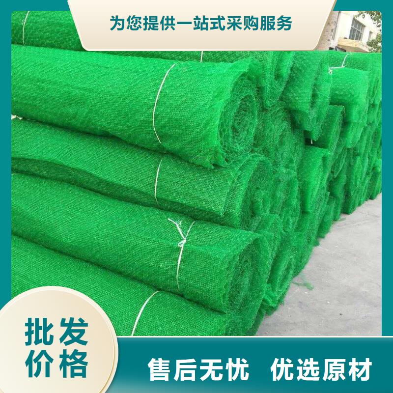 三维植被网防尘布实力大厂家