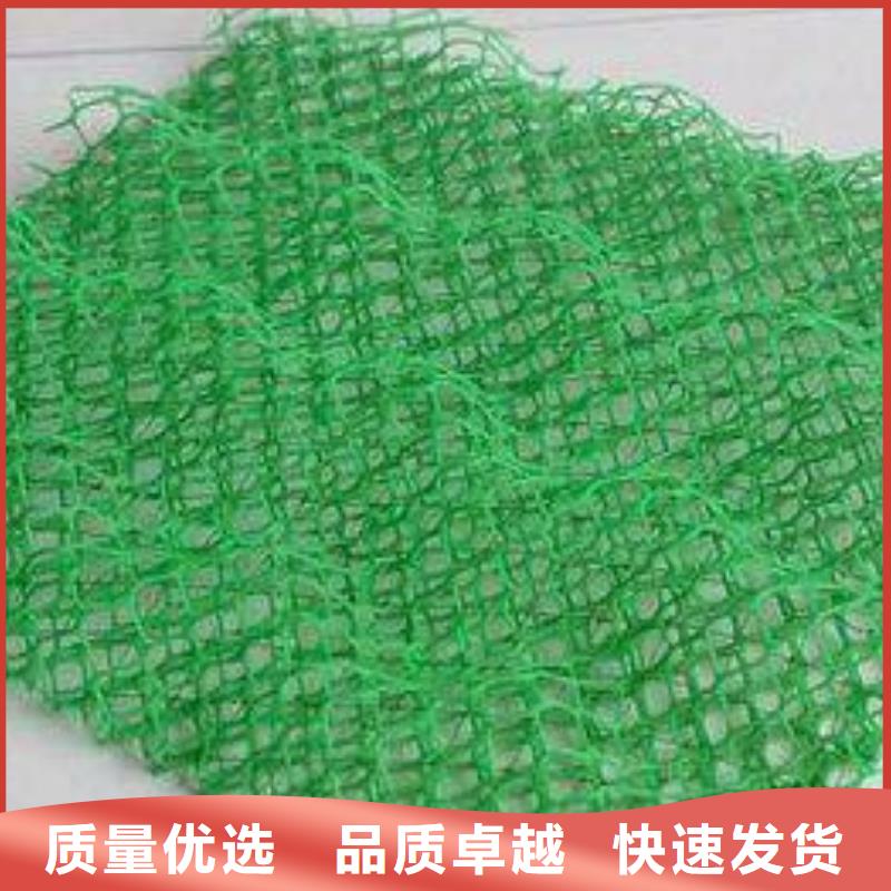 三维植被网护坡土工网技术先进