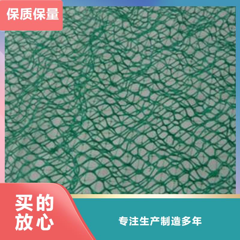 三维植被网护坡土工网技术先进