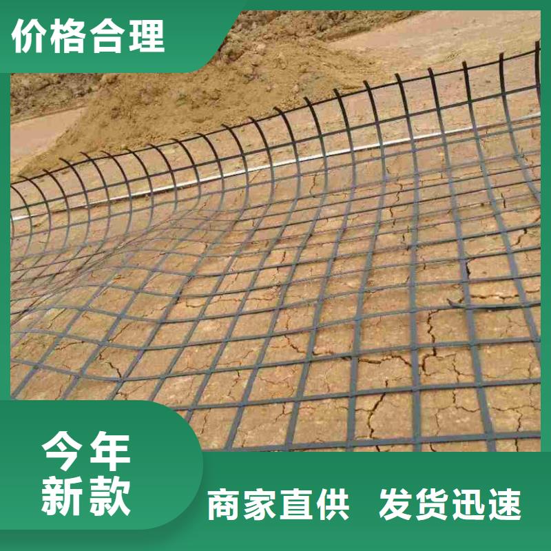 钢塑土工格栅-土工席垫诚信为本