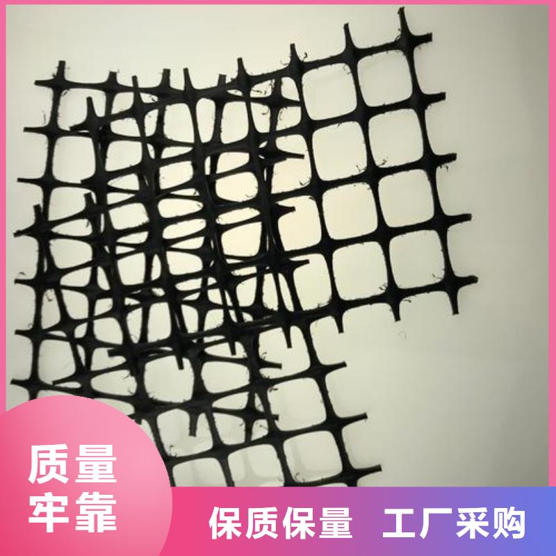 双向塑料土工格栅三维植被网严格把控每一处细节