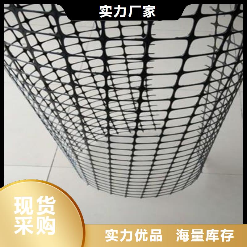 双向塑料土工格栅-涤纶土工格栅专业生产制造厂