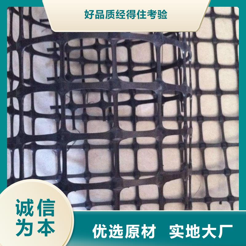 双向塑料土工格栅三维植被网严格把控每一处细节
